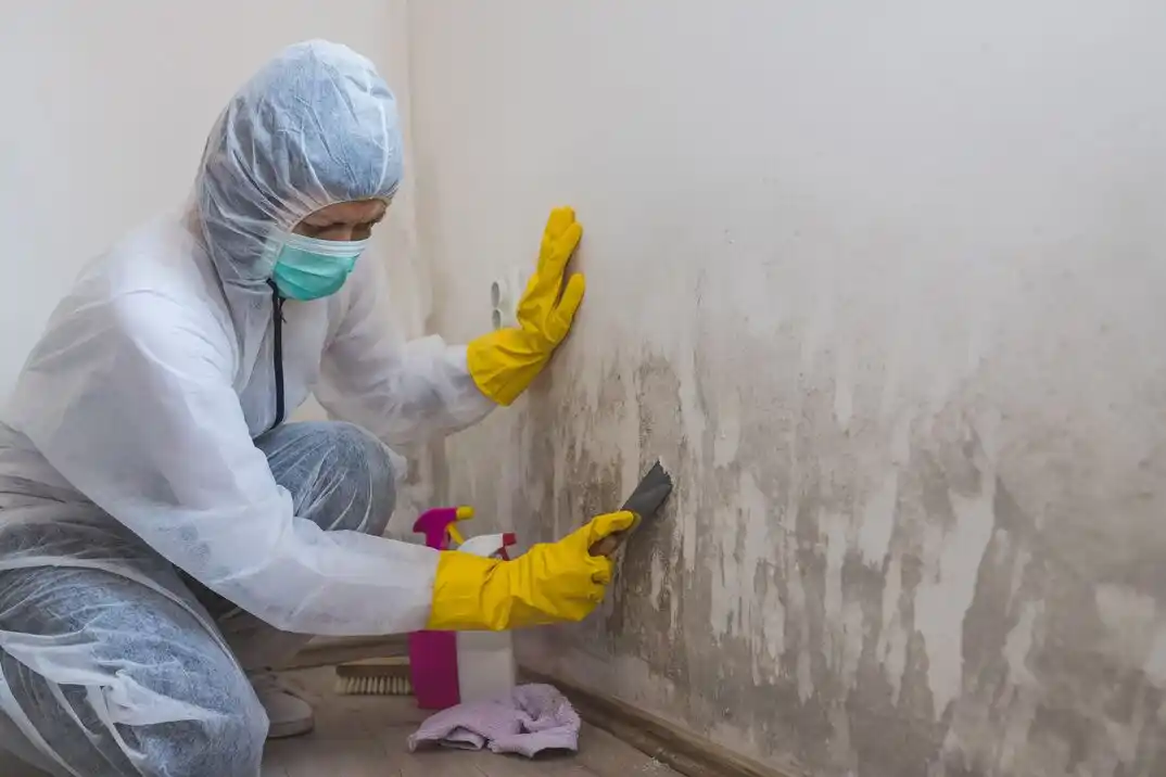 water damage restoration service Hartley